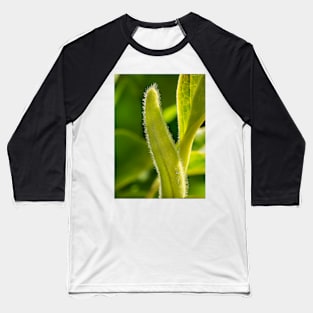 Leaf Bud Baseball T-Shirt